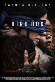 W185 1546862871 bird box 2018